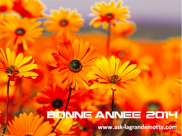 fleur 2014