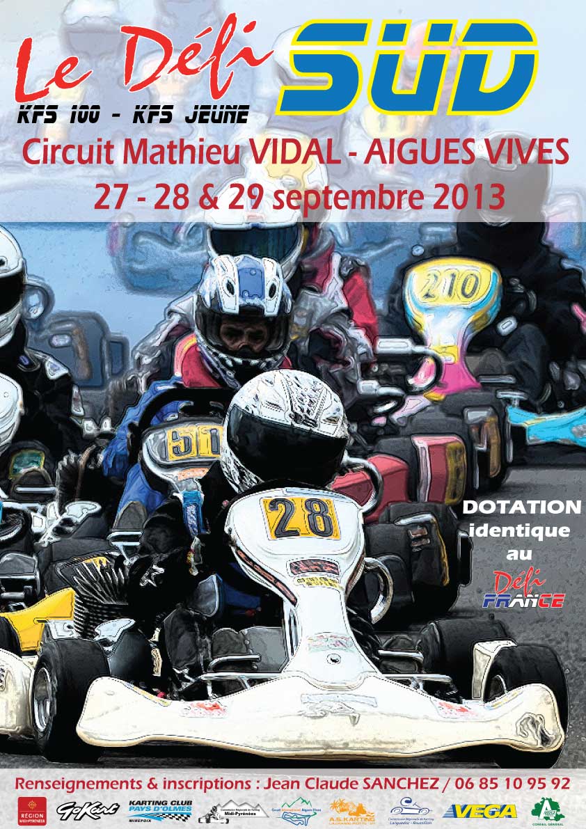 affiche defi sud 2013